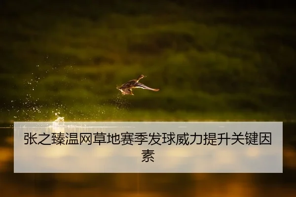 张之臻温网草地赛季发球威力提升关键因素