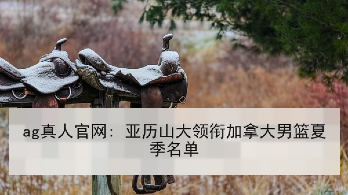 ag真人官网: 亚历山大领衔加拿大男篮夏季名单