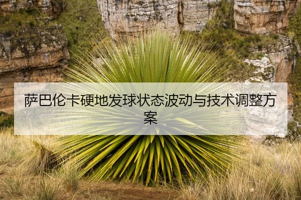 sa-ba-lun-ka-ying-di-fa-qiu-zhuang-tai-bo-dong-yu-ji-shu-tiao-zheng-fang-an-3-388.jpg