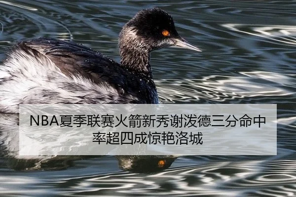 NBA夏季联赛火箭新秀谢泼德三分命中率超四成惊艳洛城